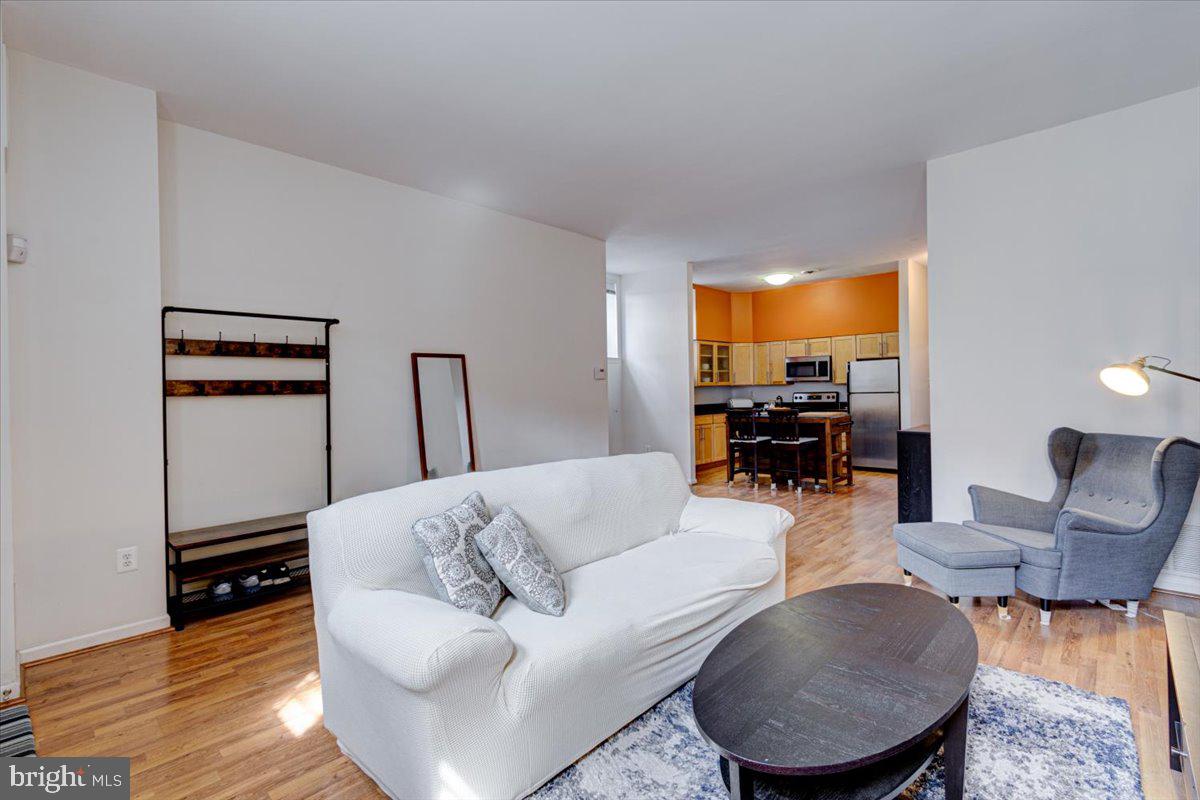 1019 Hunter Street, Unit 1019 Baltimore, MD 21202 - Photo 8 of 22 Radiant and Airy living room!