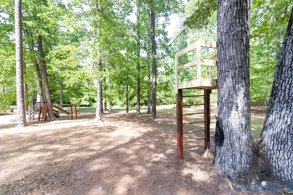 a view of a trees in a yard with large trees