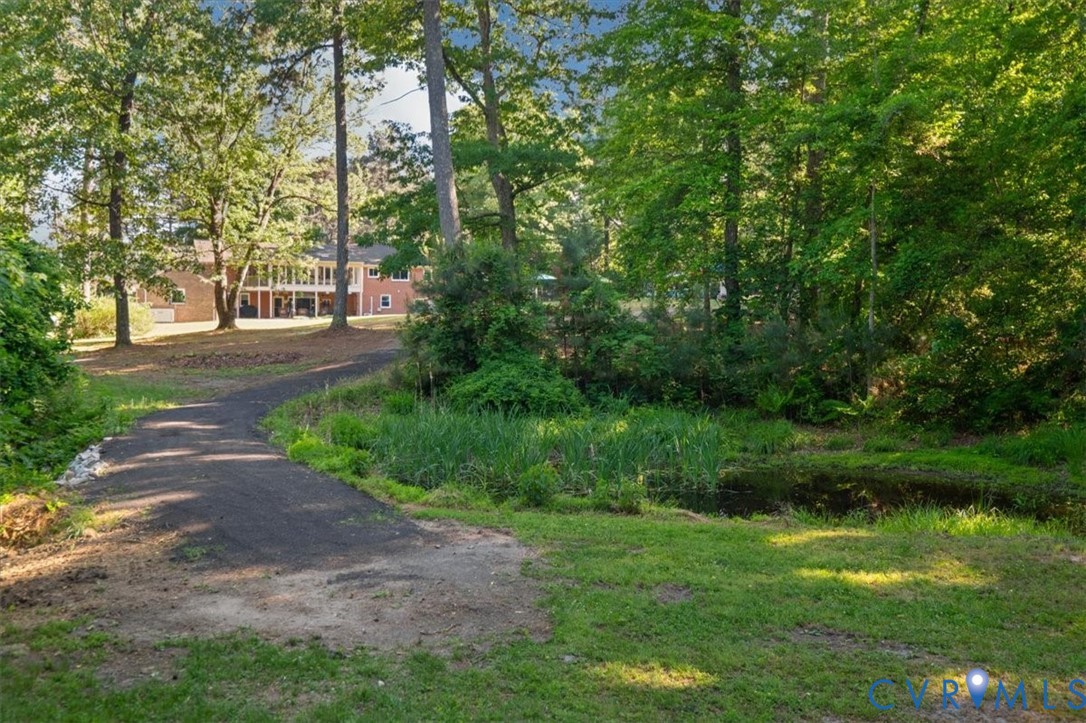 18522 Goode Lane Dinwiddie, VA 23841 - Photo 82 of 99 a view of a yard with plants and large trees
