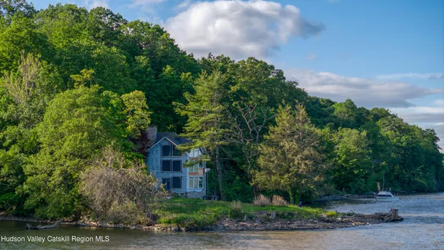 a view of a city with lush green forest