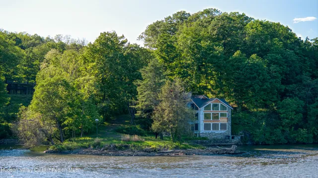 a view of a large garden with plants and large trees
