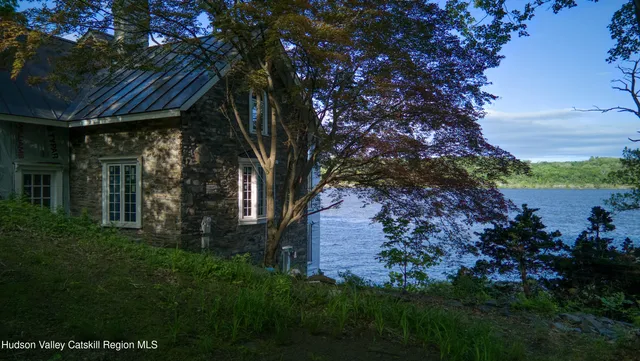 a view of backyard with potted plants and large tree