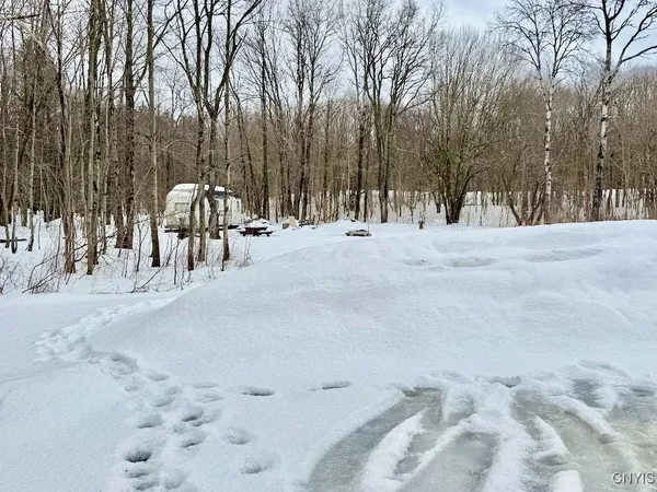 $224,900 | 168 Carpenter Road, Orwell, NY 13144