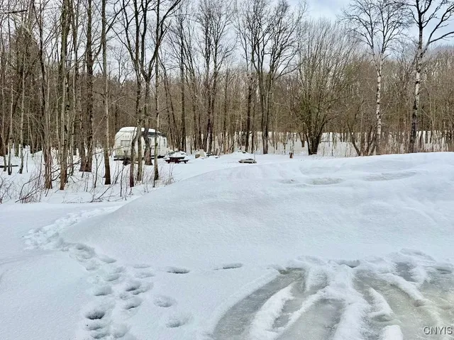 $224,900 | 168 Carpenter Road, Orwell, NY 13144