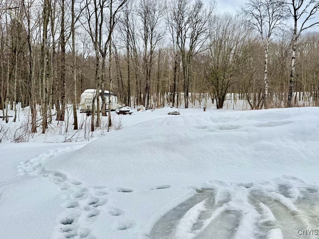 168 Carpenter Road Orwell, NY 13144 - Photo 3 of 41