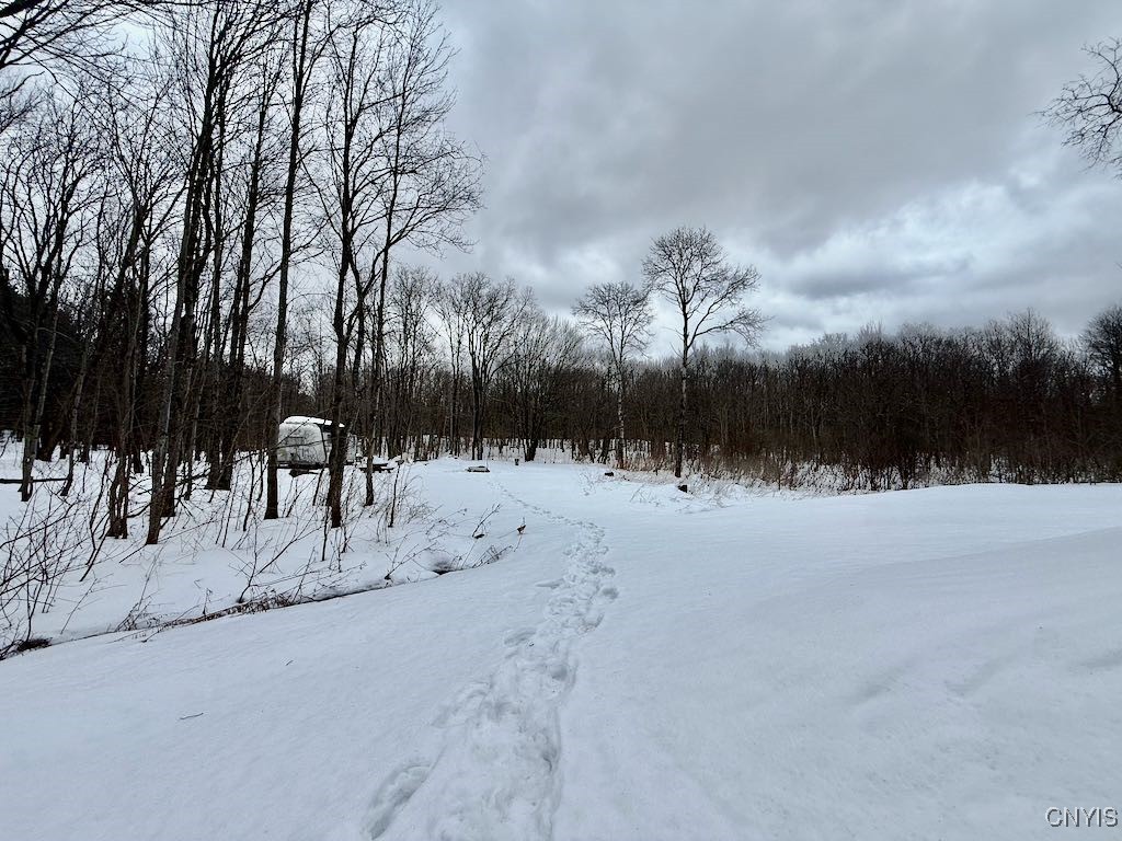 168 Carpenter Road Orwell, NY 13144 - Photo 33 of 41