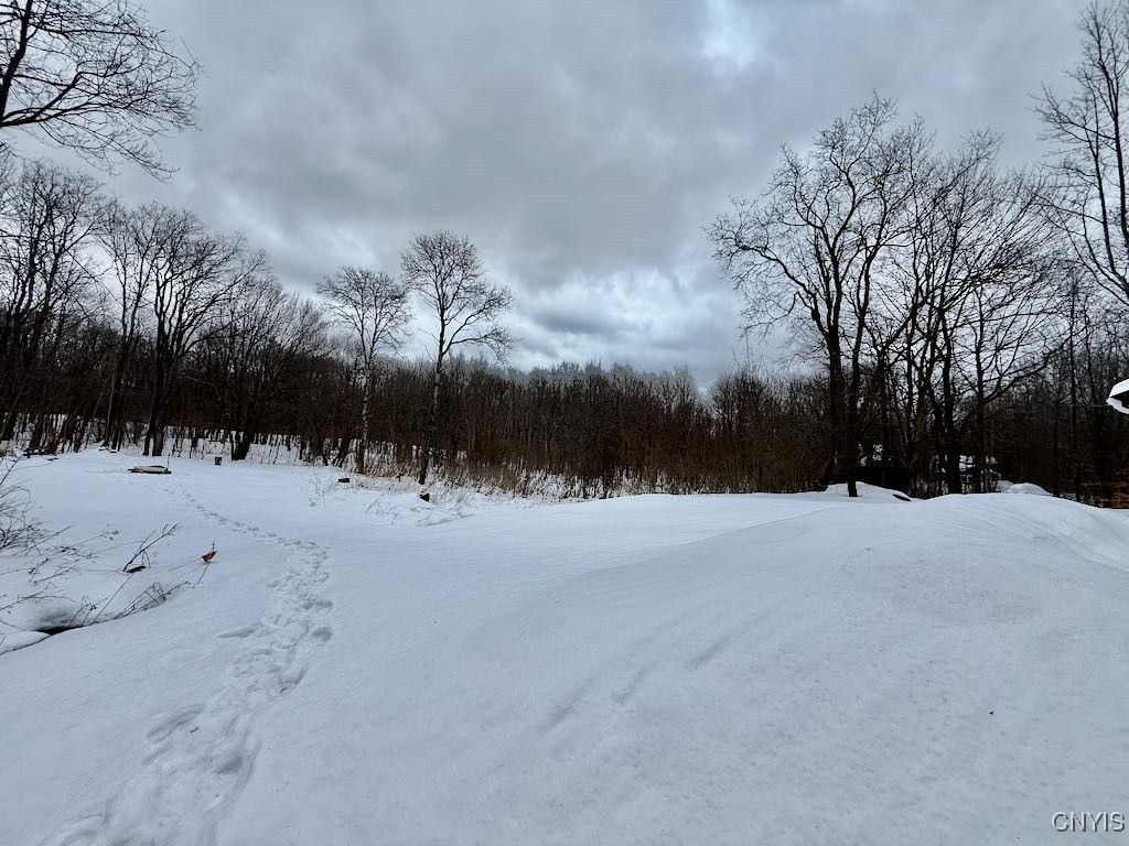 168 Carpenter Road Orwell, NY 13144 - Photo 34 of 41