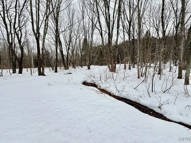 $224,900 | 168 Carpenter Road, Orwell, NY 13144