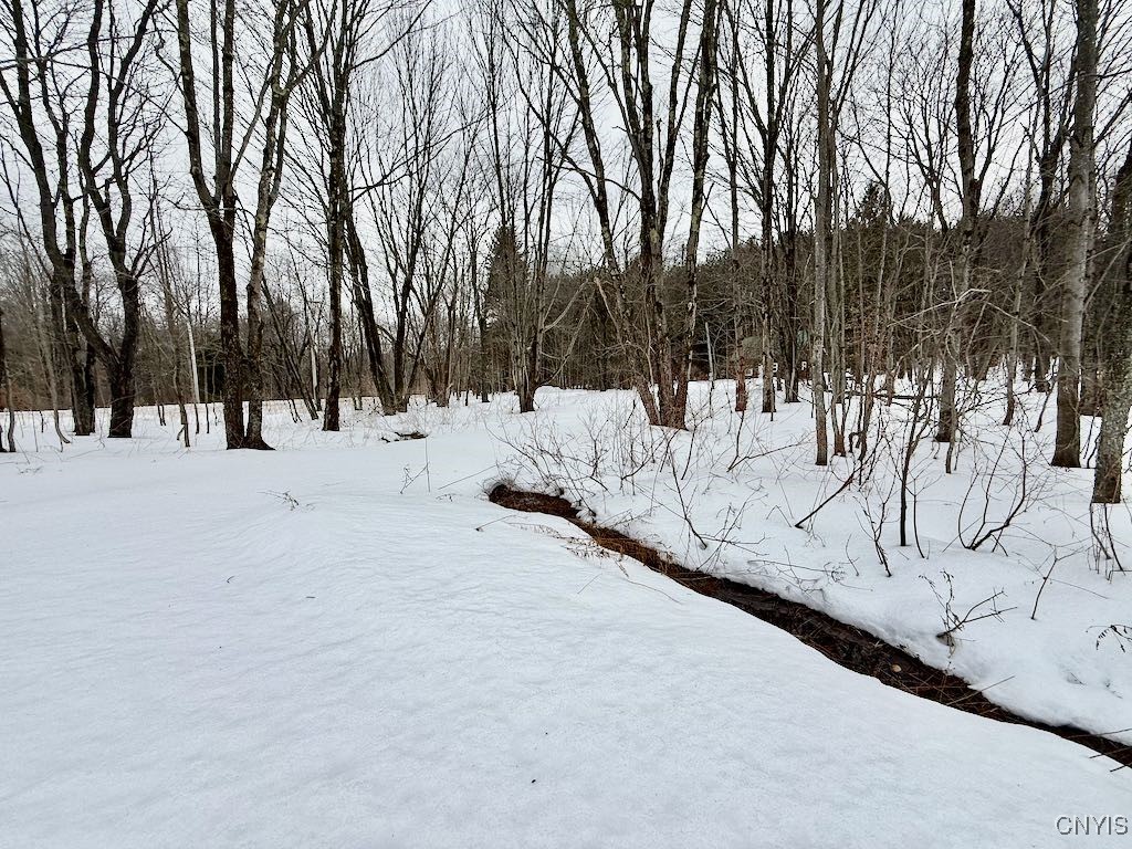 168 Carpenter Road Orwell, NY 13144 - Photo 38 of 41