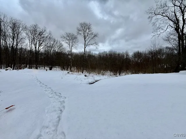 $224,900 | 168 Carpenter Road, Orwell, NY 13144