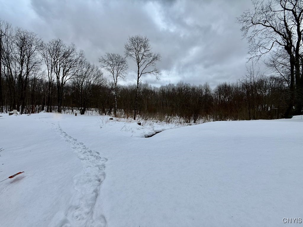 168 Carpenter Road Orwell, NY 13144 - Photo 39 of 41