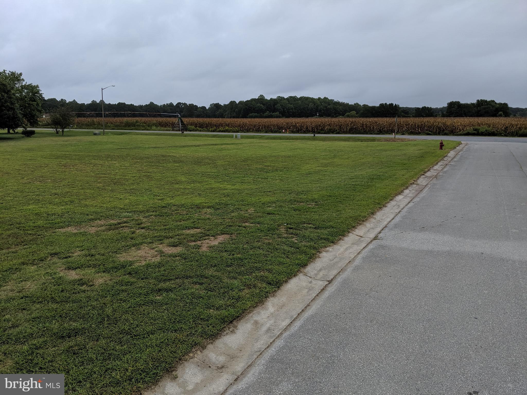 Lot 28 Bethel Road Willards, MD 21874 - Photo 7 of 17
