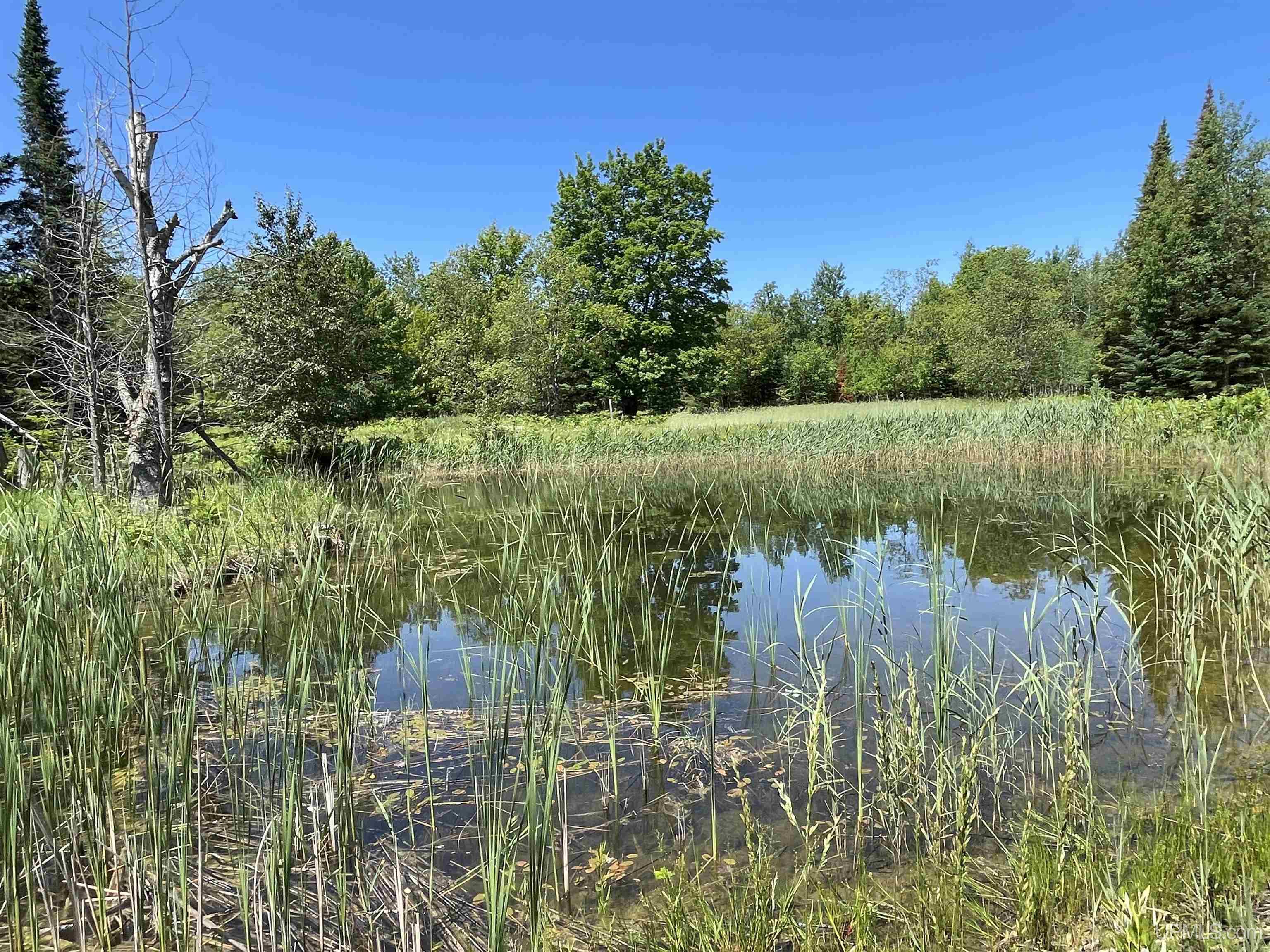 Tbd Flodin Road Manistique, MI 49854 - Photo 47 of 55 Gallery Image 47