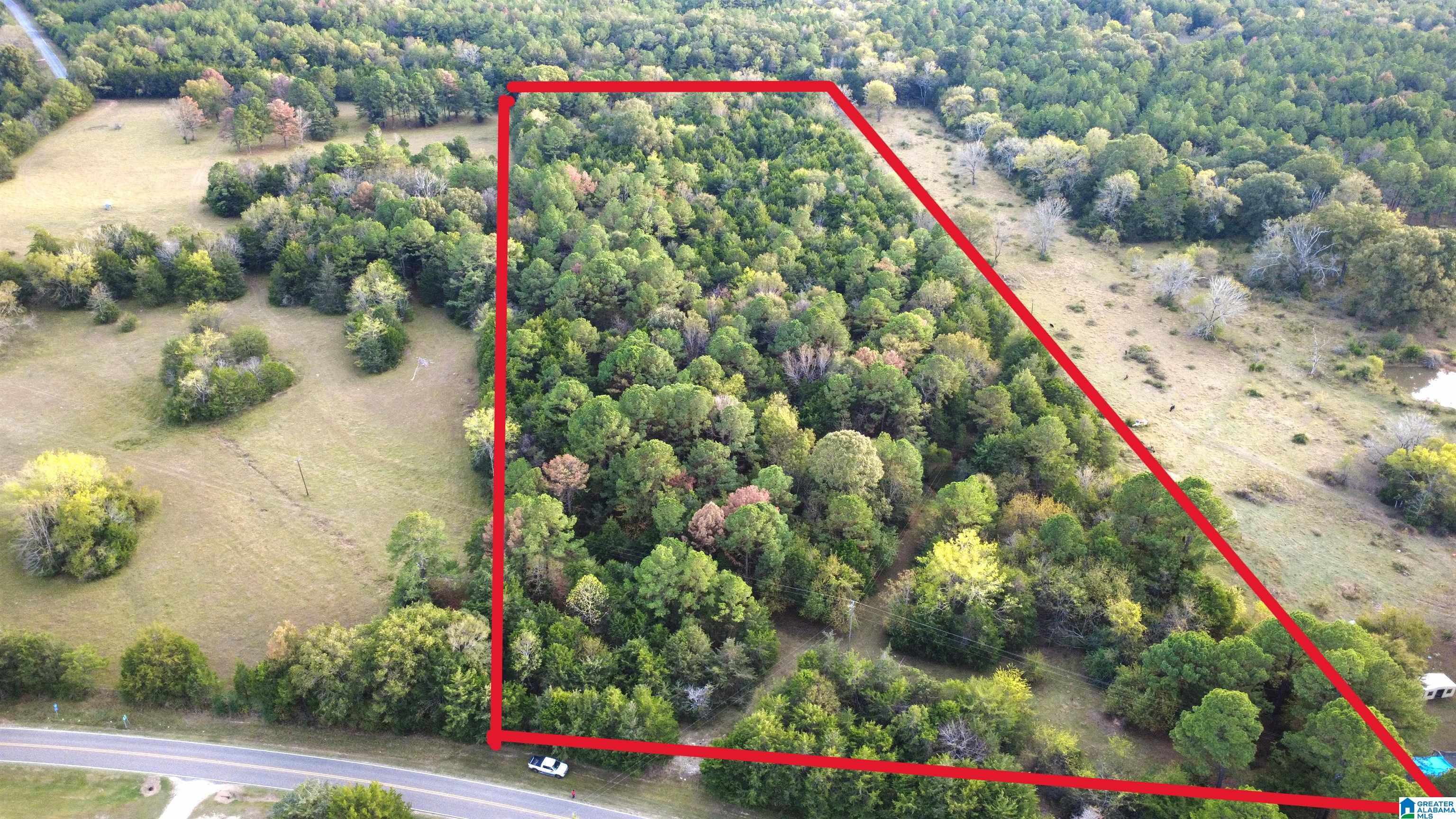 0 Shaw Road Uniontown, AL 36786 - Photo 2 of 8