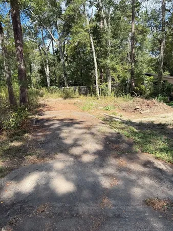 a view of a yard with large trees