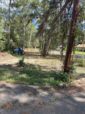 a view of yard with trees