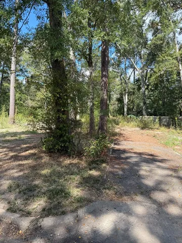 a view of a yard with plants and trees