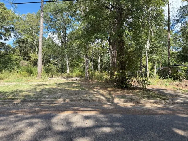 a view of a tree in the middle of a yard
