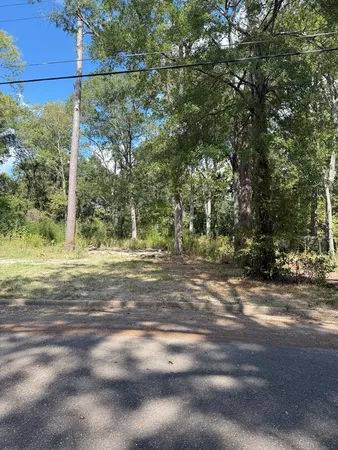 a view of a yard with large trees
