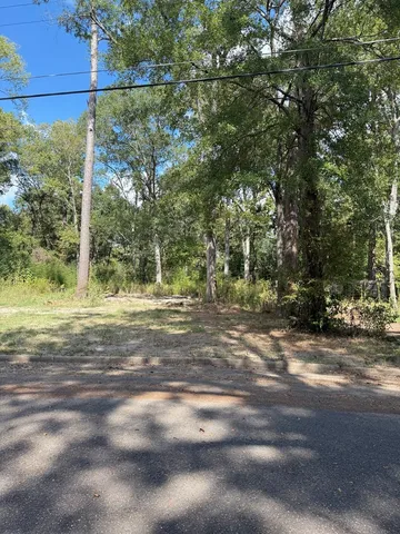 a view of a yard with large trees
