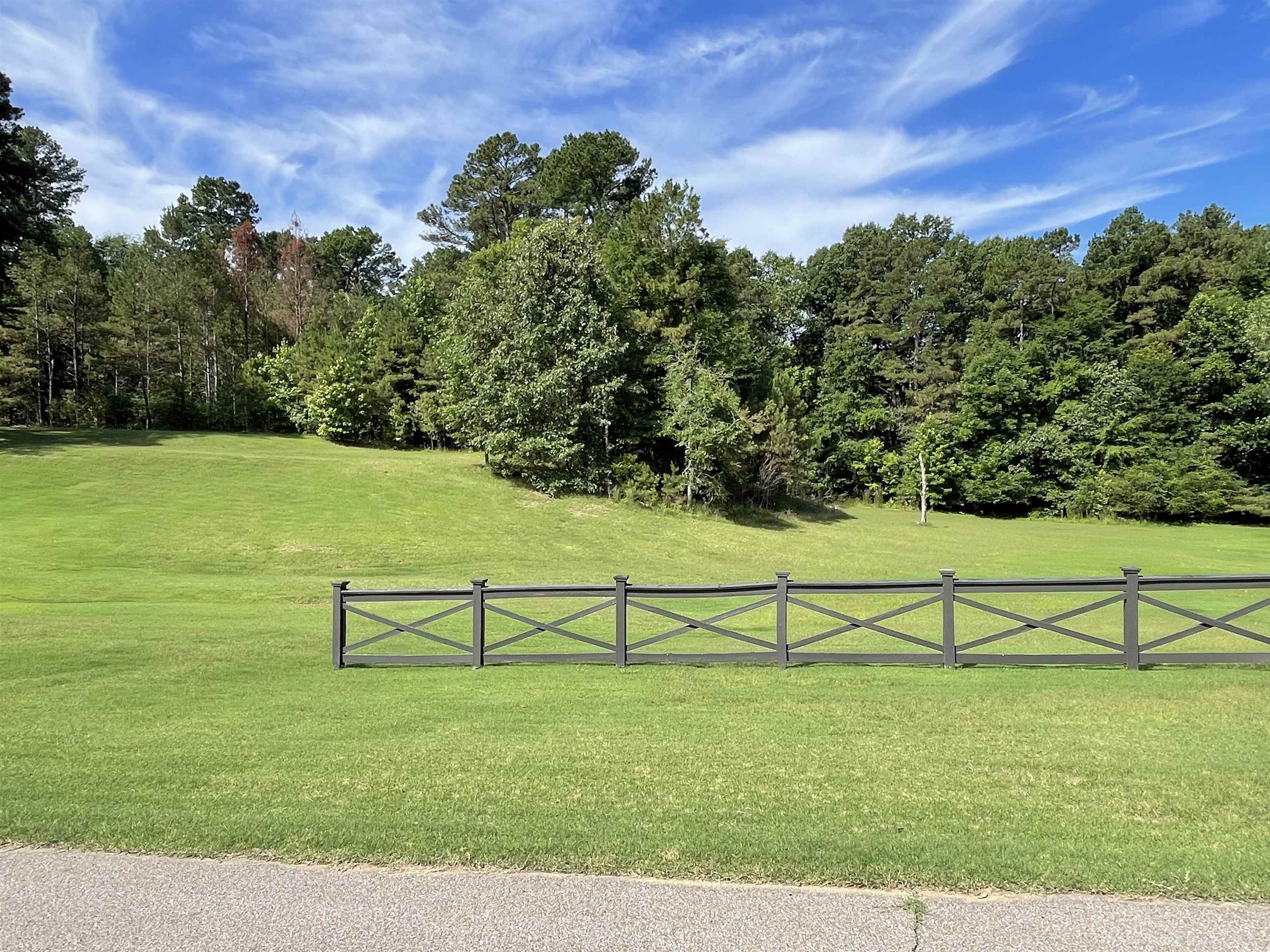 305 Wickliff Creek Road Eads, TN 38028 - Photo 18 of 21