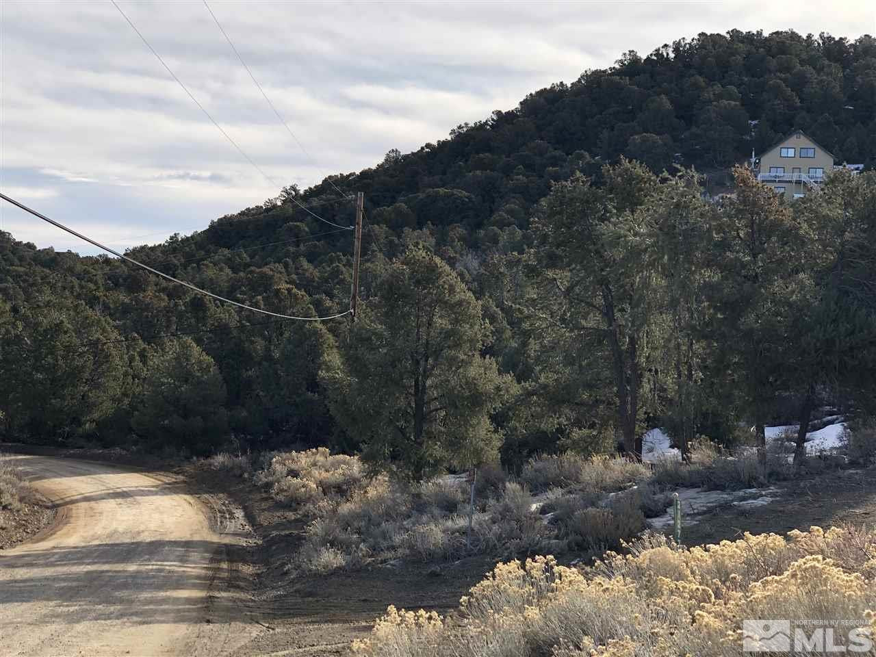 21287 Highland Road Reno, NV 89521 - Photo 1 of 6 a view of a forest with a tree