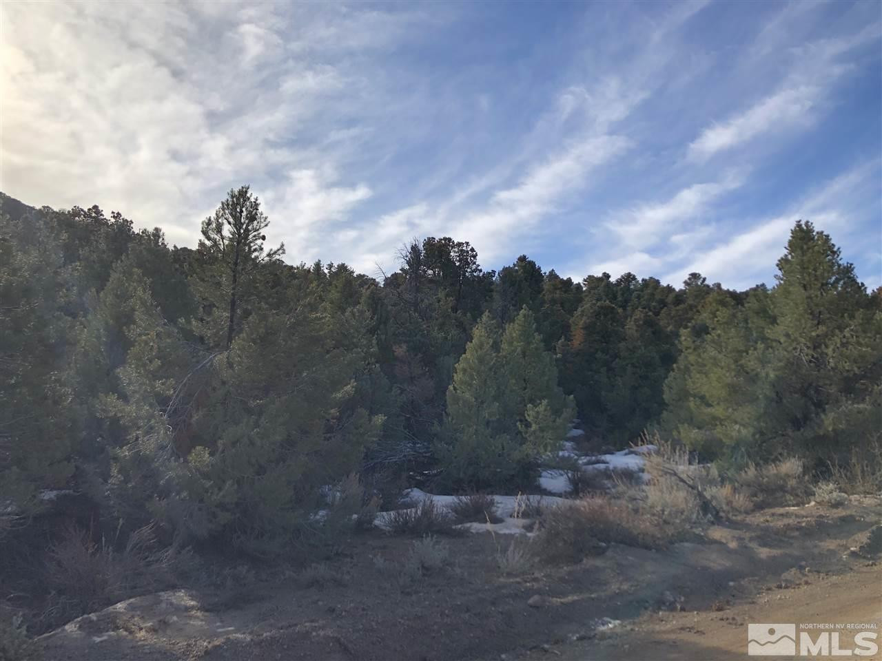 21287 Highland Road Reno, NV 89521 - Photo 5 of 6 a view of a city with green space