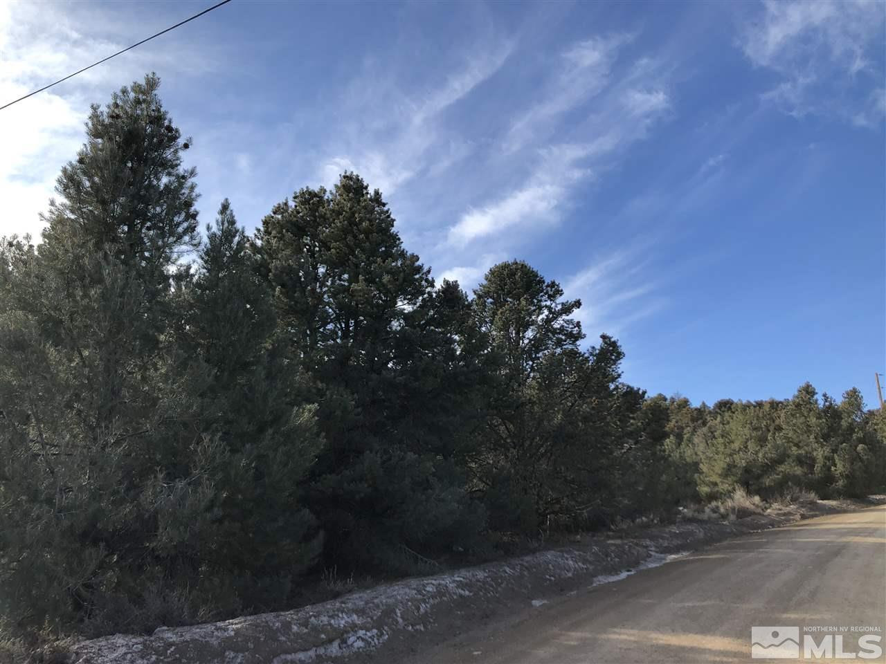 21287 Highland Road Reno, NV 89521 - Photo 6 of 6