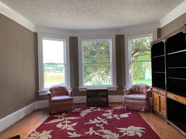 1217 17th Street Columbus, GA 31901 - Photo 6 of 20 a living room with furniture and a rug