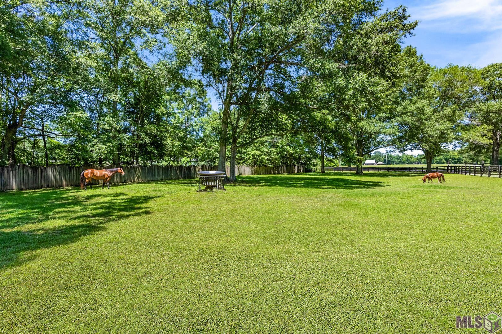 19919 Tucker Road Zachary, LA 70791 - Photo 34 of 43