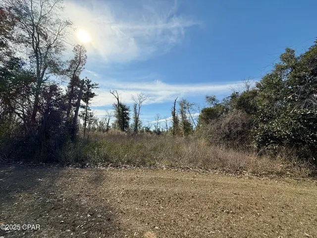 $44,900 | 0 Oak Drive, Marianna, FL 32446