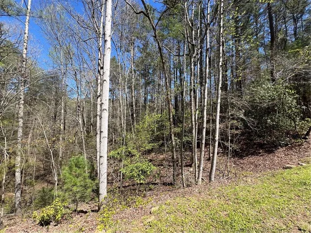 $45,000 | 0 Trout Line Court, Talking Rock, GA 30175