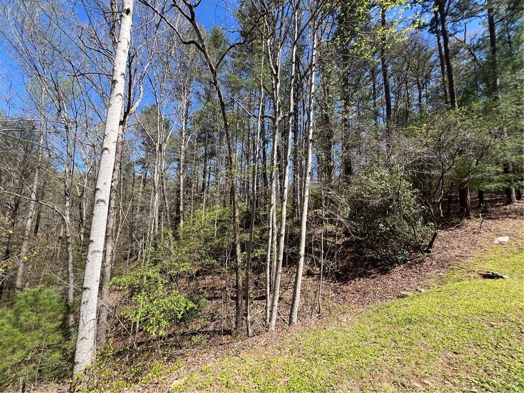 0 Trout Line Court Talking Rock, GA 30175 - Photo 13 of 58