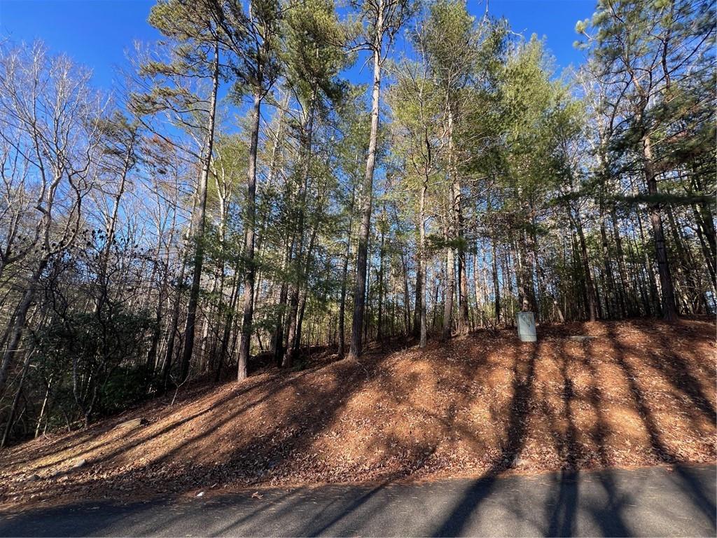 0 Trout Line Court Talking Rock, GA 30175 - Photo 14 of 58