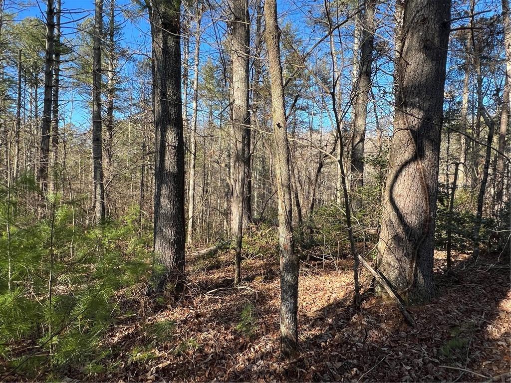 0 Trout Line Court Talking Rock, GA 30175 - Photo 16 of 58