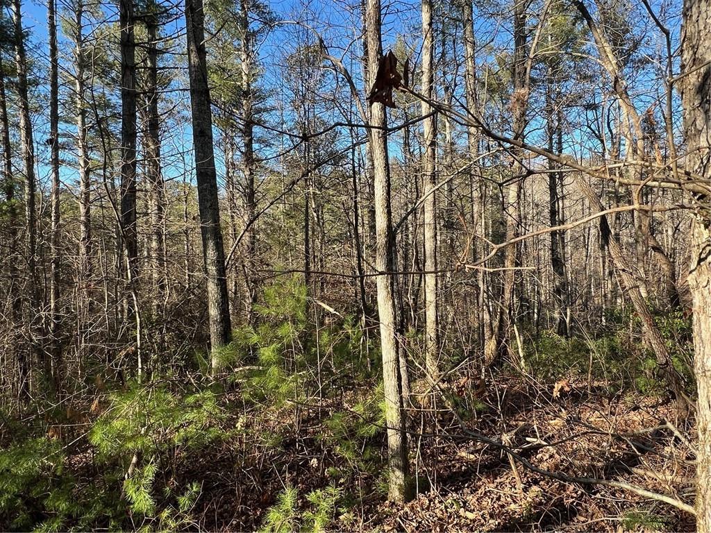 0 Trout Line Court Talking Rock, GA 30175 - Photo 17 of 58