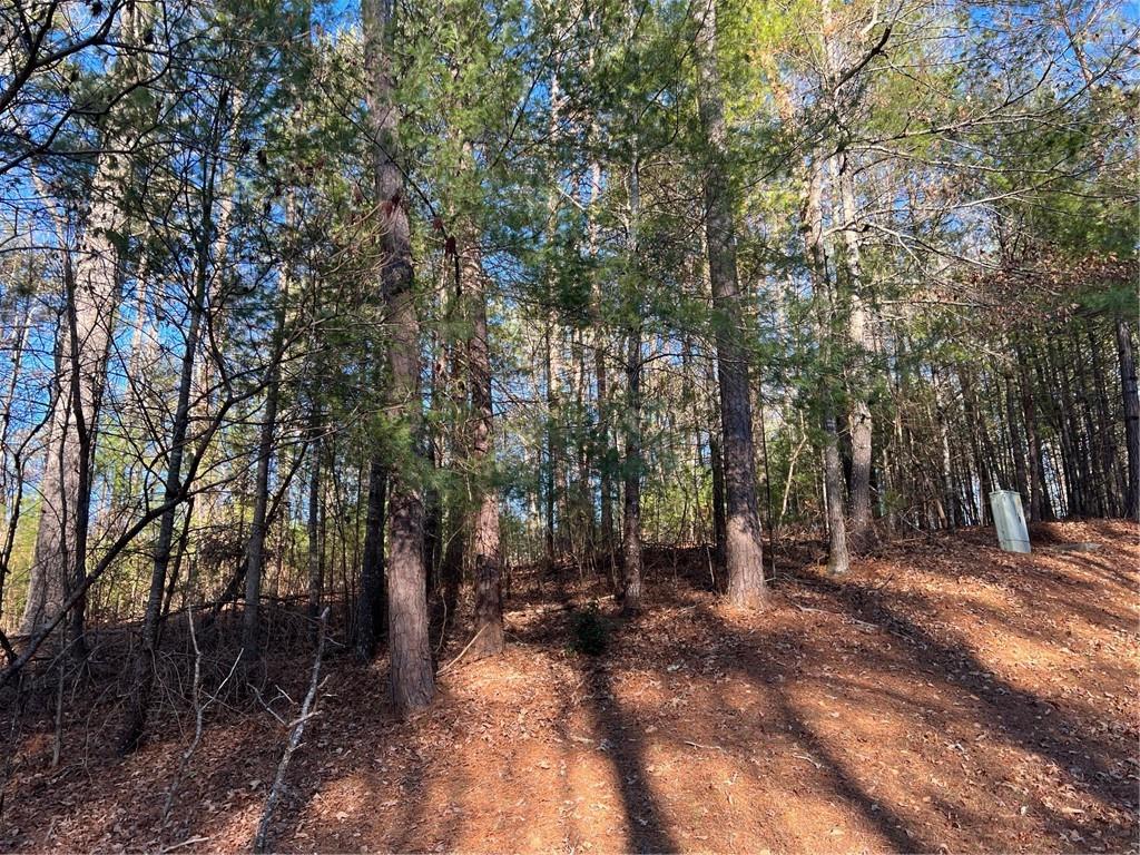 0 Trout Line Court Talking Rock, GA 30175 - Photo 18 of 58
