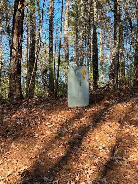 0 Trout Line Court Talking Rock, GA 30175 - Photo 19 of 58