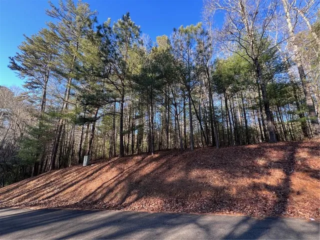$45,000 | 0 Trout Line Court, Talking Rock, GA 30175