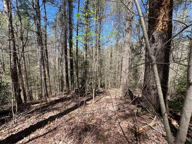 $45,000 | 0 Trout Line Court, Talking Rock, GA 30175