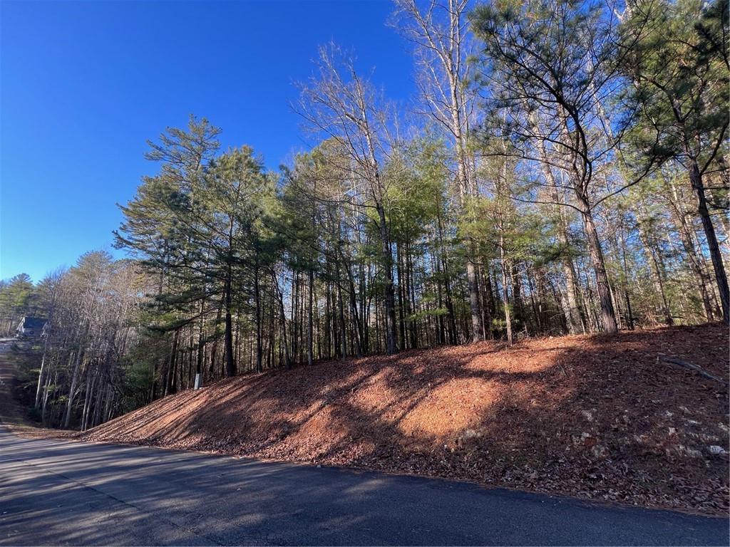 0 Trout Line Court Talking Rock, GA 30175 - Photo 21 of 58