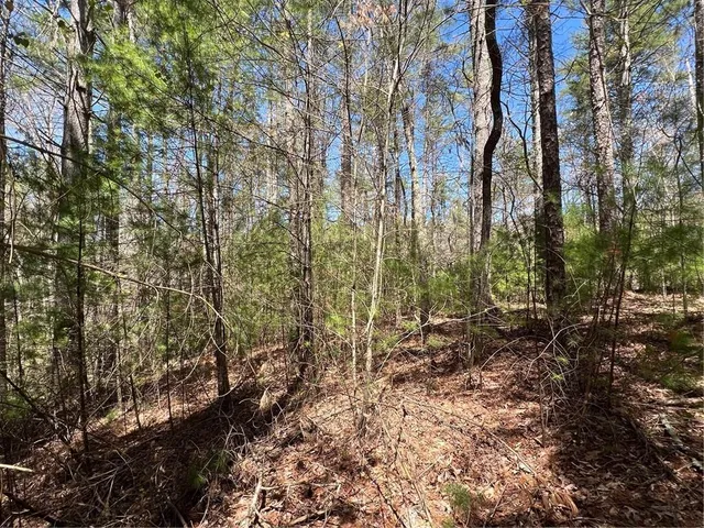 $45,000 | 0 Trout Line Court, Talking Rock, GA 30175
