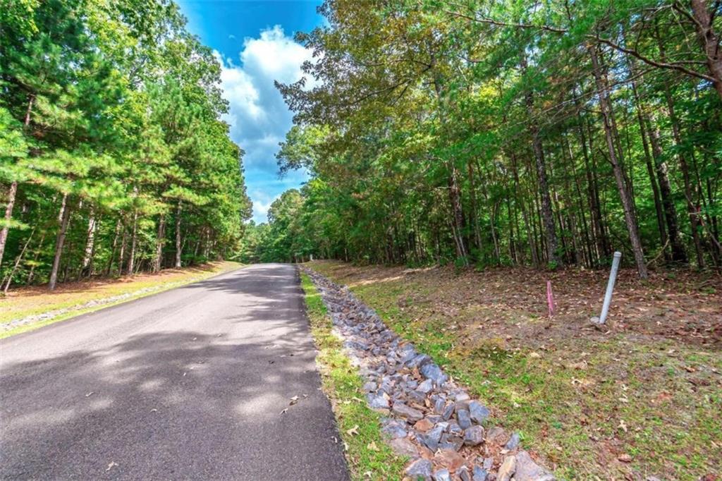 0 Trout Line Court Talking Rock, GA 30175 - Photo 34 of 58