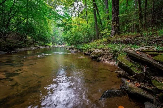 $45,000 | 0 Trout Line Court, Talking Rock, GA 30175