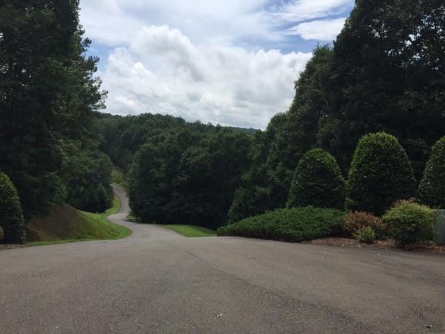 0 Trout Line Court Talking Rock, GA 30175 - Photo 38 of 58