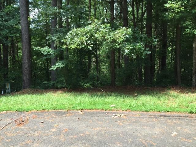 0 Trout Line Court Talking Rock, GA 30175 - Photo 39 of 58