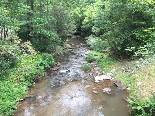 0 Trout Line Court Talking Rock, GA 30175 - Photo 40 of 58