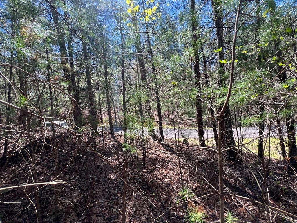 0 Trout Line Court Talking Rock, GA 30175 - Photo 4 of 58