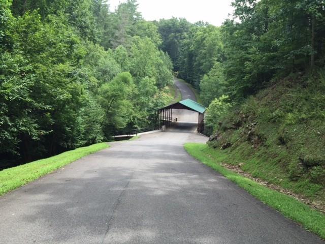 0 Trout Line Court Talking Rock, GA 30175 - Photo 41 of 58