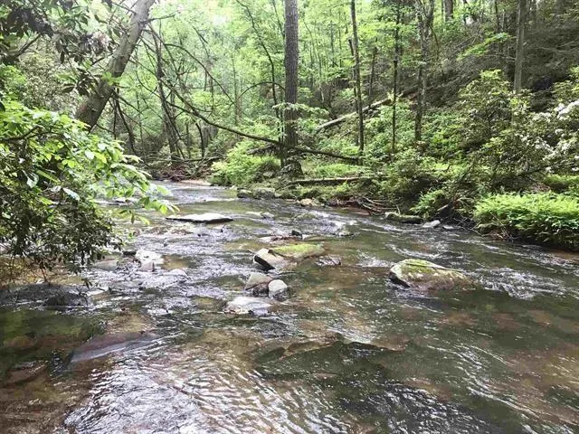 $45,000 | 0 Trout Line Court, Talking Rock, GA 30175